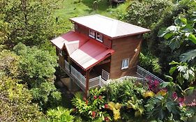 Mahogany Lodge - Oasis Cosy
