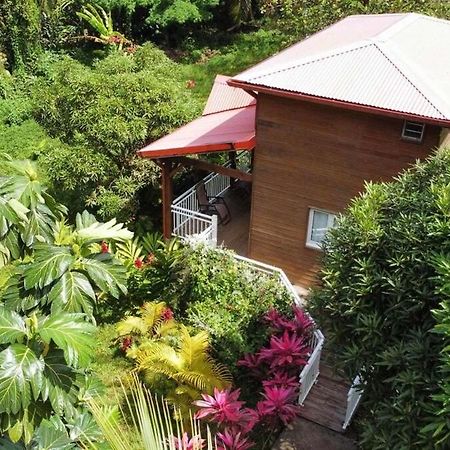 Mahogany Lodge - Oasis Cosy Rivière-Pilote Extérieur photo