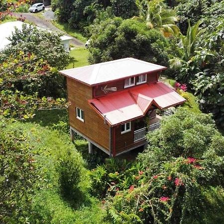 Mahogany Lodge - Oasis Cosy Rivière-Pilote Extérieur photo