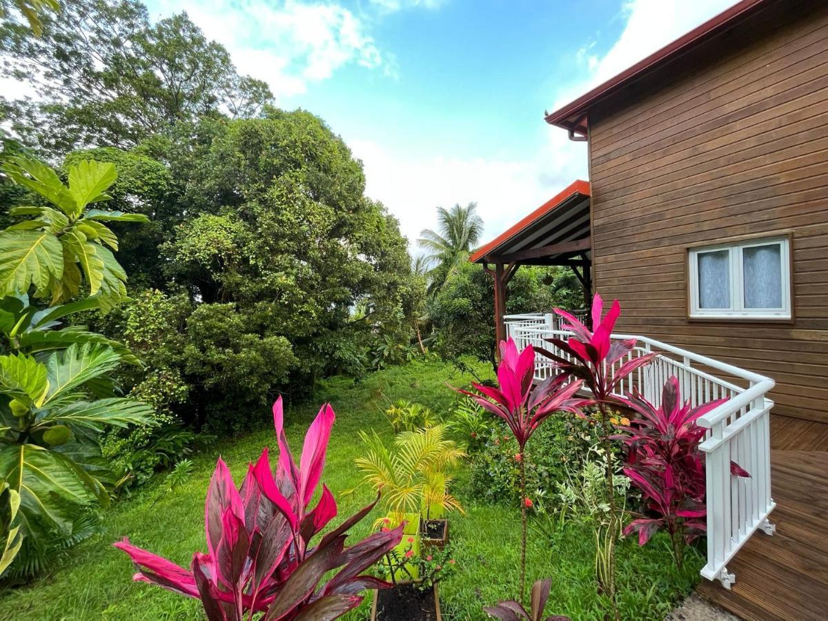 Mahogany Lodge - Oasis Cosy Rivière-Pilote Extérieur photo