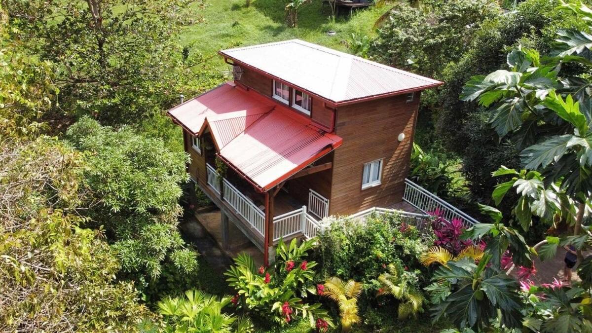 Mahogany Lodge - Oasis Cosy Rivière-Pilote Extérieur photo