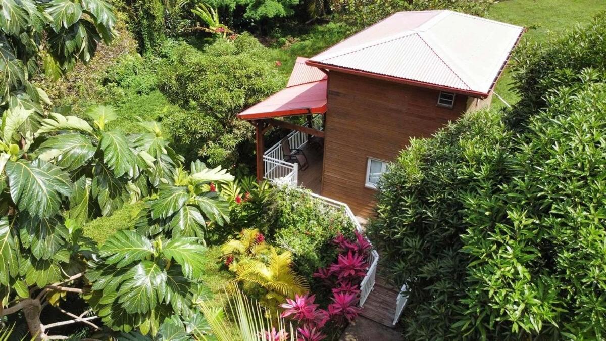 Mahogany Lodge - Oasis Cosy Rivière-Pilote Extérieur photo